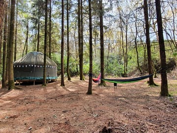Camping in a yurt