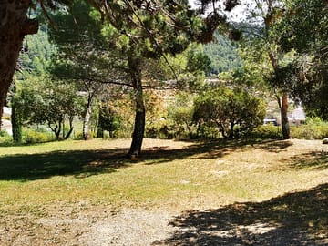 Pitches among the trees