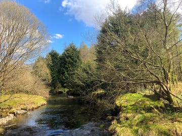 Afon dwyfor