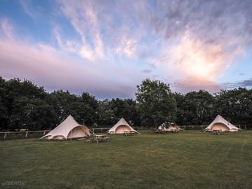 View of the glamping field