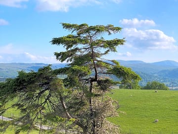 Walking uphill