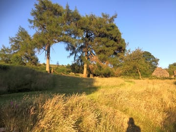 Lots of space to relax