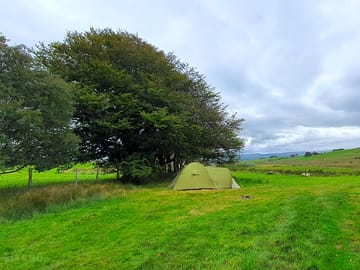 Our pitch