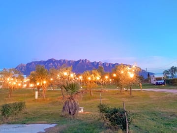 Camping field