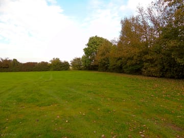 A nice flat area for tents