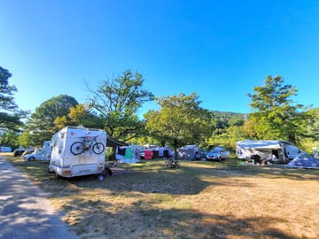 Pitches under the shade of trees