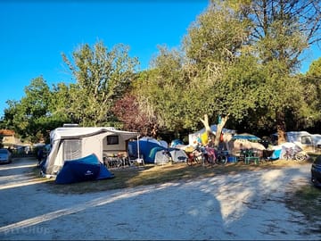 Pitches under trees