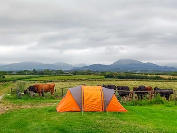 Pitches with views