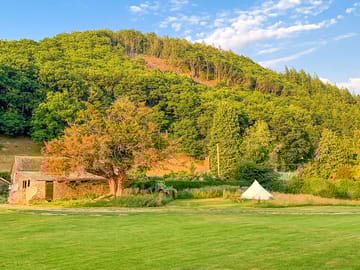 Pitches on site