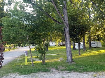 Pitch among the trees