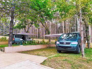 Pitches between the trees