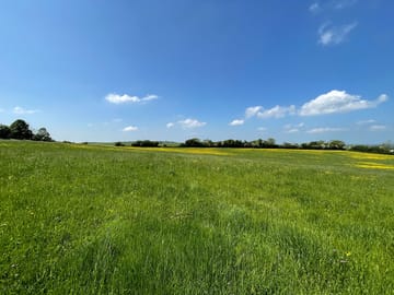 Grassy pitches