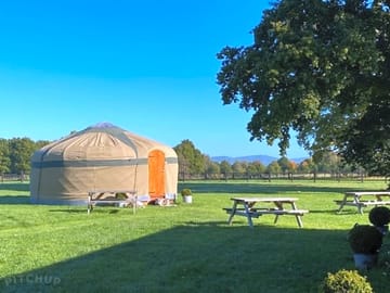 Lots of lovely space around the yurt