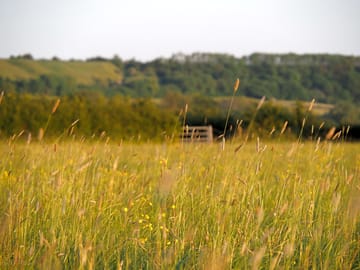 View to the marlborough downs