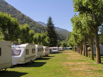 Grass pitches surrounded by trees