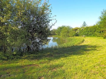 View of the lake