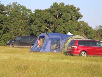 Tent pitches sheltered by trees