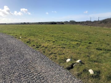 Grassy fields on site