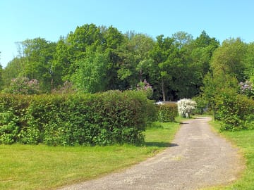 Camping pitches