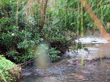 St martins burn