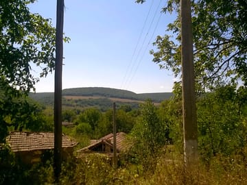 View from the site