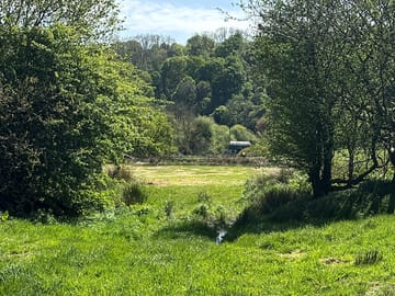 View from the field
