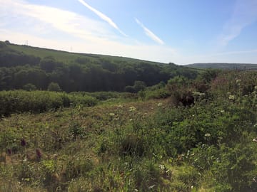 Blue skies over the site