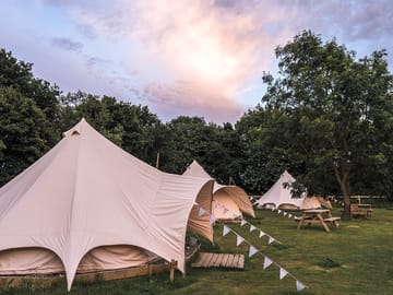 View of the glamping field