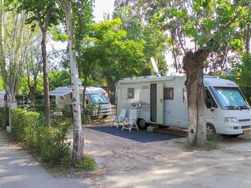 Pitches under trees