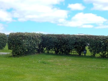 Spacious pitches