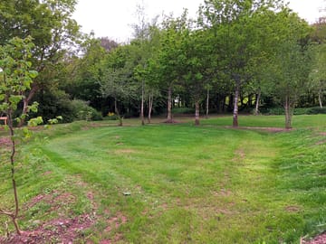 Our site