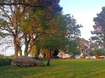 Grass pitches