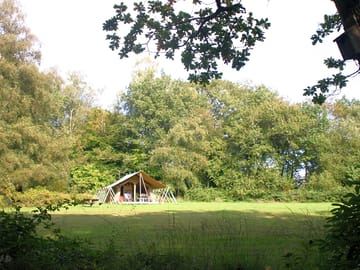 Safari tent in meadow