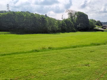 Camping field