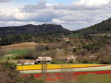 Colourful rural surroundings