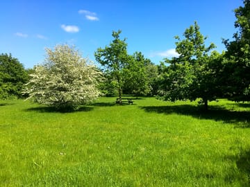 Small meadow pitches