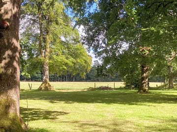 The site