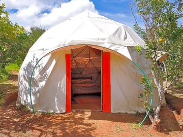 Dome exterior
