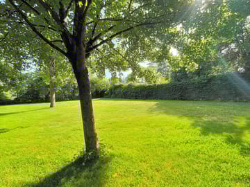 Grass pitches