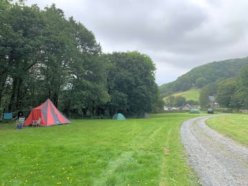 Grass pitches