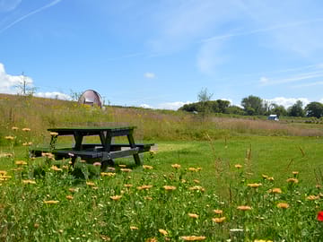 Camping pitch with picnic table