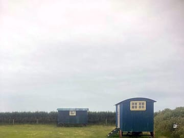 Shepherd's hut