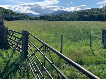 Field