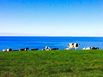 Sea views