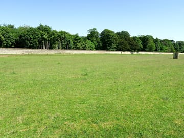 Trees around the field