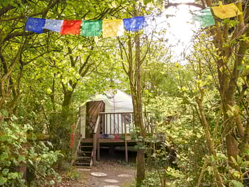 Yurt among the trees