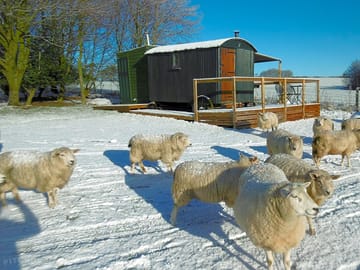 The site in winter