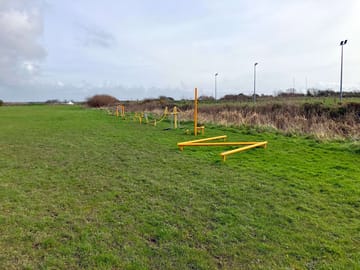 Grass pitches