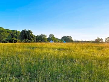 The meadow on a summer's day