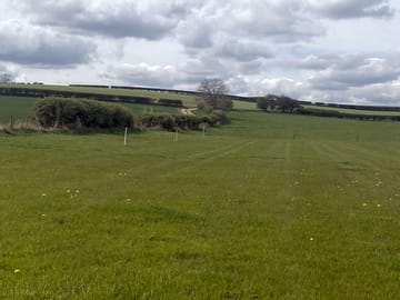 The pitches